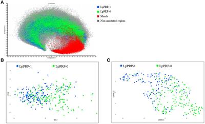 Biological injection therapy with leukocyte-poor platelet-rich plasma induces cellular alterations, enhancement of lubricin, and inflammatory downregulation in vivo in human knees: A controlled, prospective human clinical trial based on mass spectrometry imaging analysis